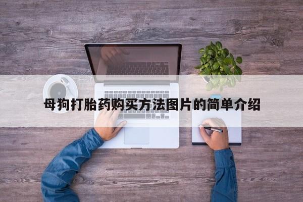 私人小诊所有打胎药吗?母狗打胎药购买方法图片的简单介绍